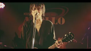 The Birthday「誰かが」（Live at 出雲APOLLO“シャム猫の絶叫”TOUR 2016）