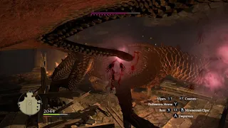 Dragon Dogma Странник или Ассасин что лучше?