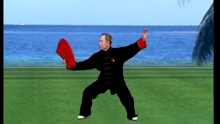 太極功夫扇 I part B  Tai Chi Taiji Kung Fu Fan tutorial with English sub