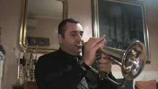 Back to Black Amy Winehouse . Trumpet Flugelhorn Tromba Flicorno