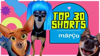 OS MELHORES SHORTS DE MARÇO 2023 DOS PEQUENOS PRÍNCIPES | COMPILADO