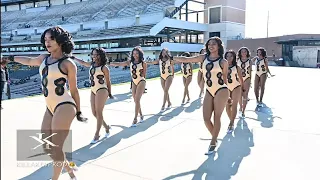 Alabama State University ft. the Sensational Stingettes and Alumni Stingettes - Marching In - 2019