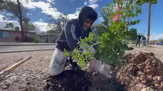 Tucson Clean and Beautiful - Creating a sustainable future