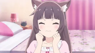 Funny Cute Nekopara Compilation