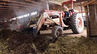 Pig Bellies and Heifer Pens