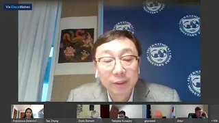 Address and Q&A by Mr. Tao Zhang, Deputy Managing Director at the IMF, 22 May 2020