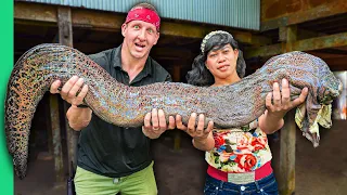 Giant Slimy Eel!! Insane Indonesian Food of the Bugis Tribe!!