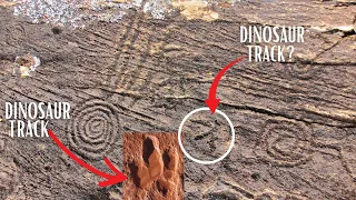 Prehistoric Map & Dinosaur Tracks...Connected? - Ancient Southwestern Rock Art