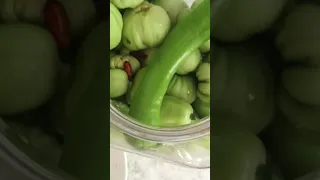 HOW we make Spicy pickle GREEN tomatoes #shorts