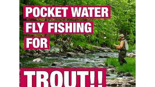 POCKET WATER FLY FISHING FOR TROUT!