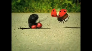 Minuscule - Laughing ladybug