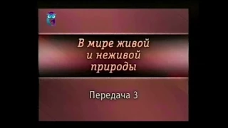 Передача 3. На стыке наук - молекулы жизни и здоровья