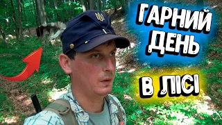 Коп монет в лісі. Пошуки з металошукачем ХР Деус. Гриби 2021. Пошук скарбів в Україні