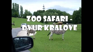 WARTO ZOBACZYĆ: ZOO Safari - Dvur Kralove