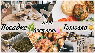 Vlog🌿Вкусный завтрак✨Обед на скорую руку/Котлетки🔥✨День доставок🛍️Сажаю 🫑и🍅Моя Микрозелень🌿