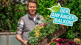 Balkonpflanzen und -blumen für Anfänger