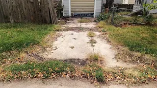 He Couldn't AFFORD Lawn Care, So I Mowed His OVERGROWN Lawn For FREE