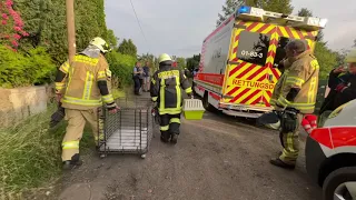 [Meetingpoint] Feuer vernichtet Stall von Tierschützerin