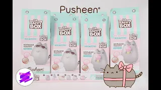 PUSHEEN! Happy Box Pusheen с коллекцией классных игрушек!!