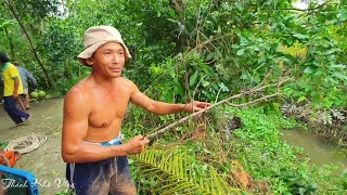 Master of chainsaw cut down a tree near the river