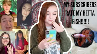 MY SUBSCRIBERS RATE MY BETTA FISH!! | WHO WON?? | ItsAnnaLouise