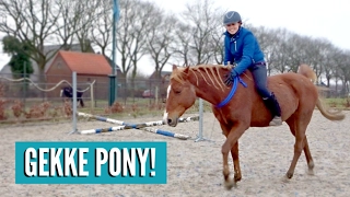 Mijn pony doet gemeen en we gaan met neckrope springen | Vlog #36