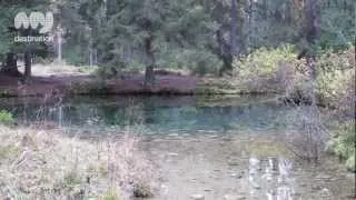 National Park of Tatra - Slovakia