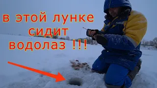 ГДЕ ИСКАТЬ ОКУНЯ НА РЕКЕ В ЯНВАРЕ ? Рыбалка в глухозимье ! Окунь на мормышку и мотыля зимой.