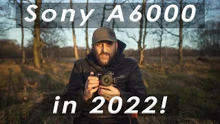 The Sony A6000 in 2022 - Is it Worth it?!