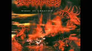 Band: Decapitated, Album: Winds of Creation, Track 02 Blessed