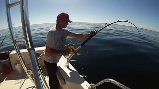 Giant Bluefin Tuna - Gloucester