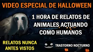 1 HORA DE RELATOS DE ANIMALES ACTUANDO COMO HUMANOS | ESPECIAL DE HALLOWEEN