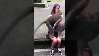 Неловкие моменты с обезьянками