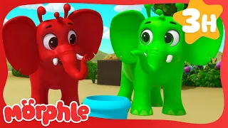 Funny Green Elephant 🐘 | Fun Animal Cartoons | @MorphleTV  | Learning for Kids