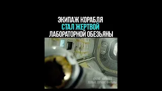 Экипаж коробля стал жертвой лабораторной обезьяны