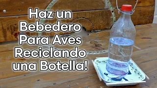 Como Hacer un BEBEDERO PARA AVES AUTOMÁTICO, RECICLANDO UNA BOTELLA