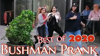 Bushman Prank  - Best of 2020