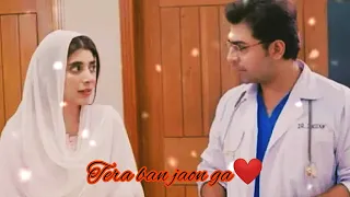 Dania x dr hassan Tera ban jaon ga vm #farhansaeed #urwahocane #merishehzadi