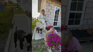 Внучка хочет сдать собаку бабушки в приют..🤷🏼‍♀️🐶👵🏻