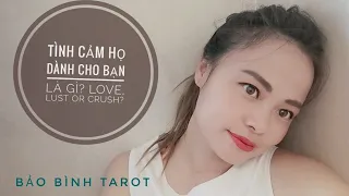 TÌNH CẢM HỌ DÀNH CHO BẠN LÀ GÌ: LOVE, LUST OR CRUSH