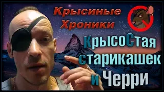 Стая стареньких крысей. Болеем, но наглеем. (Fancy Rats | Декоративные Крысы)