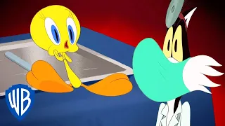 Looney Tunes auf Deutsch 🇩🇪  |Tweety beim Arzt 😷 | WB Kids