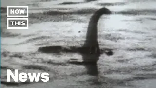 Is the Loch Ness Monster Real? Scientists Have a New Answer | NowThis