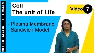 Cell - The unit of Life | NEET | Plasma Membrane - Sandwich Model | Neela Bakore Tutorials