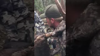 Beautiful 390 Bull Elk Hunting with Henry Pahvant Optics