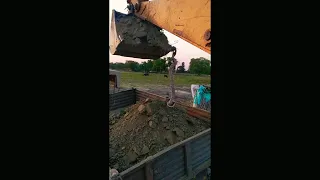 Big snake in jcb