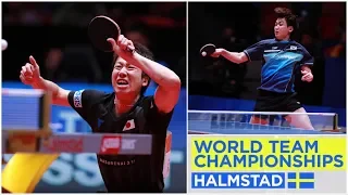 JEOUNG Youngsik - MIZUTANI Jun @ WTTTC Halmstad 04/05/2018 (private video HD)