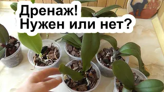 Дренаж для орхидей Нужен или нет? Что использовать в качестве дренажа? Керамзим, пенопласт, кора