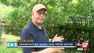 75-year-old Florida man fights off alligator, saves dog