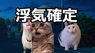 【猫ミーム】メンヘラ大集合【総編集】